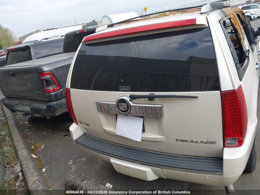 2010 Cadillac Escalade Hybrid VIN: 1GYUKEEJ6AR265278 Lot: 40064636