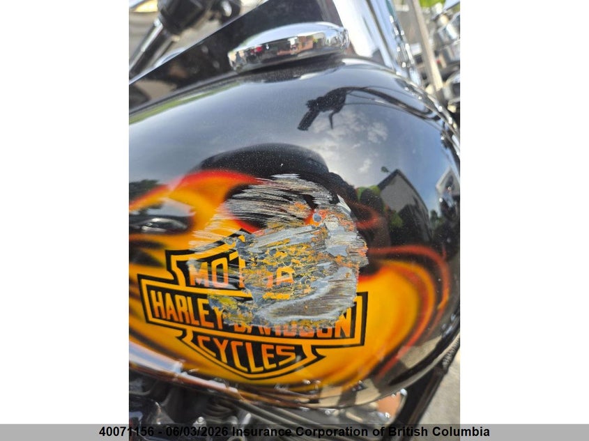 2001 Harley-Davidson Fxdwg VIN: 1HD1GEV141Y313181 Lot: 40071156