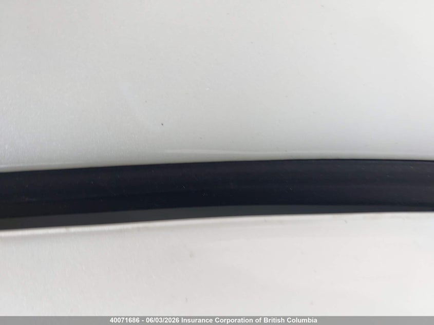 2020 Honda Pilot VIN: 5FNYF6H66LB503244 Lot: 40071686