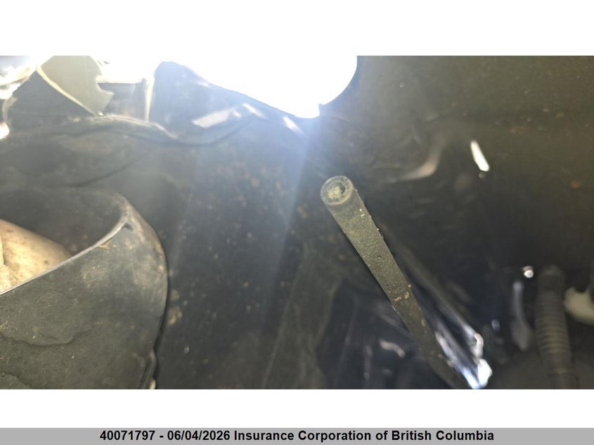 2023 Toyota Tundra Platinum VIN: 5TFNA5DB8PX099261 Lot: 40071797