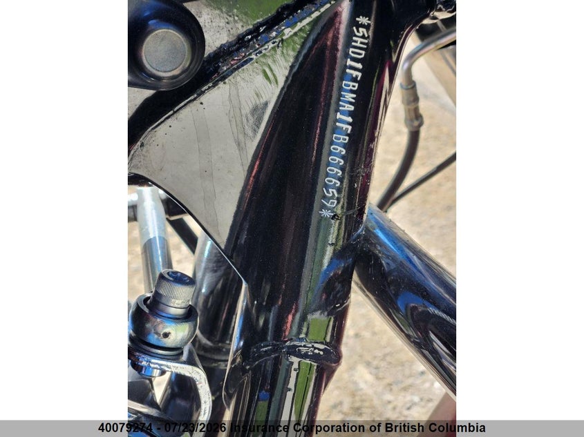 2015 HARLEY-DAVIDSON ROAD KING SPORT_BIKE 2