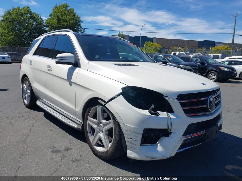 Vin: 4jgda2eb1da201499, lot: 30096874, mercedes-benz ml 350 bluetec 2013 img_1