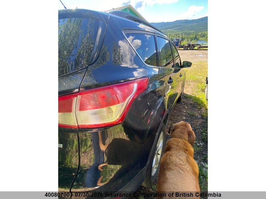 Vin: 1fmcu9g98dub34100, lot: 30097820, ford escape se 20133