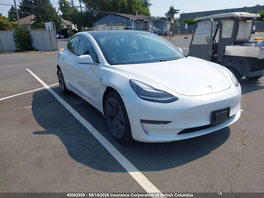 Vin: 5yj3e1ea3lf603715, lot: 30100497, tesla model 3 2020 img_1