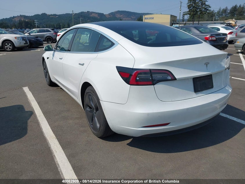 Vin: 5yj3e1ea3lf603715, lot: 30100497, tesla model 3 20203