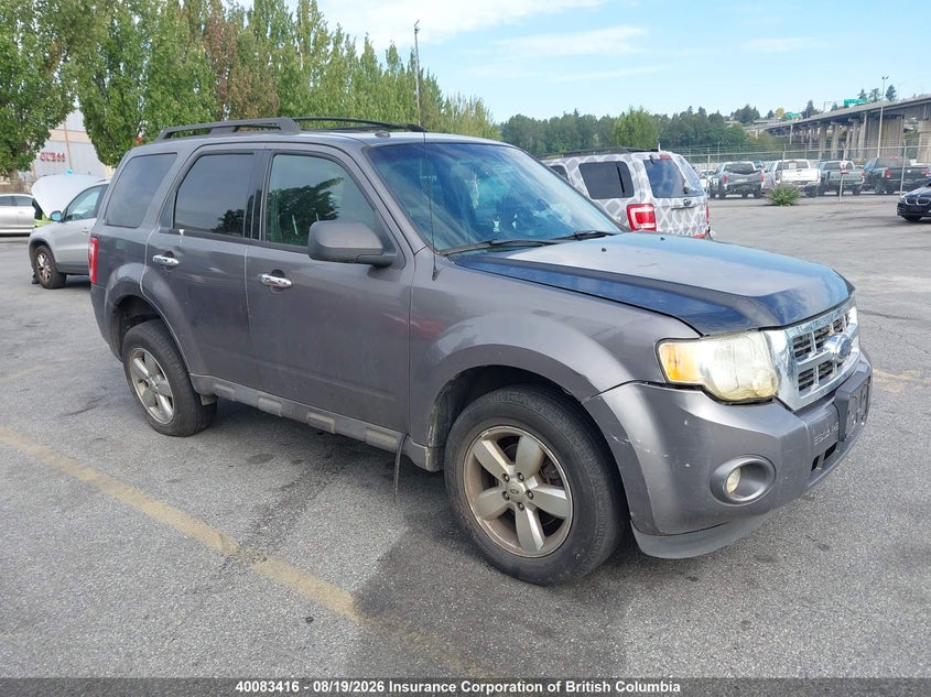 Vin: 1fmcu0dg7bkc67406, lot: 30101134, ford escape xlt 2011 img_1