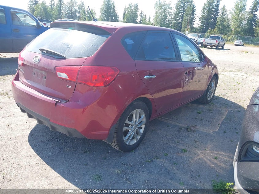 Vin: knafu5a27c5494826, lot: 30101593, kia forte 20124