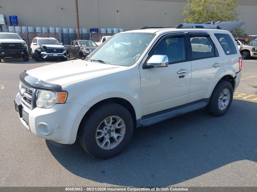 2011 Ford Escape, Удар ззаду, IAAI, VIN 1FMCU9EG8BKA84356 — фото 2