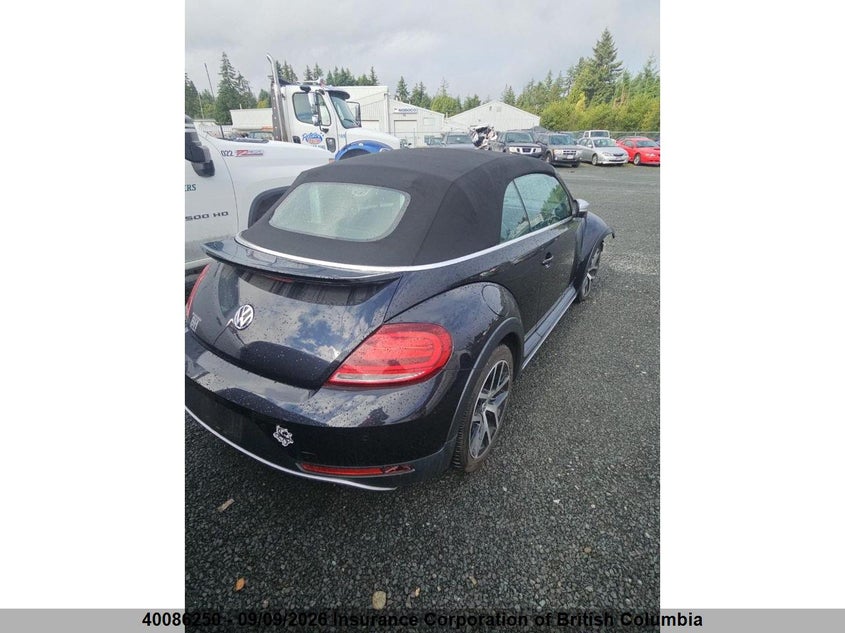 2019 VOLKSWAGEN BEETLE CABRIO 2.0L I4 FI DOHC 16V NF4
