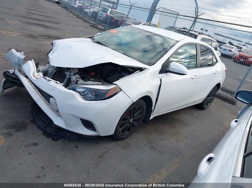 2024 Ford Maverick, Front, IAAI, VIN 3FTTW8H94RRB03433 — photo 2