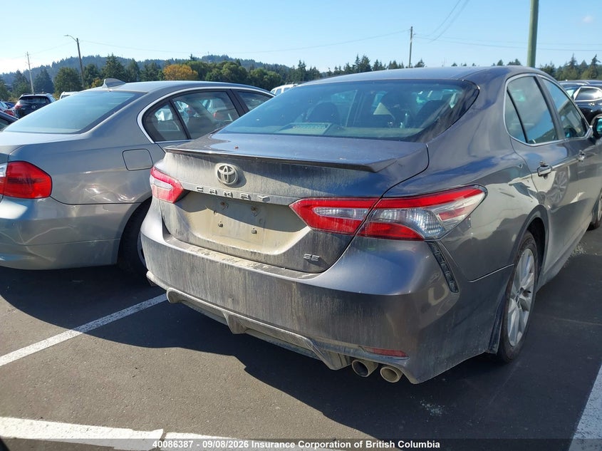 Vin: 4t1b11hk7ku805566, lot: 30104833, toyota camry 20194