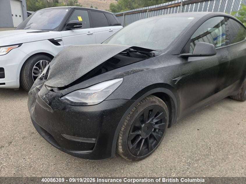 2023 Tesla Model Y, Front, IAAI, VIN 7SAYGDEE0PF771941 — photo 2
