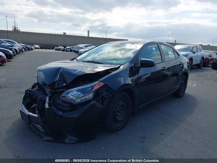 2016 Toyota Corolla, Front, IAAI, VIN 2T1BURHE8GC669537 — photo 2