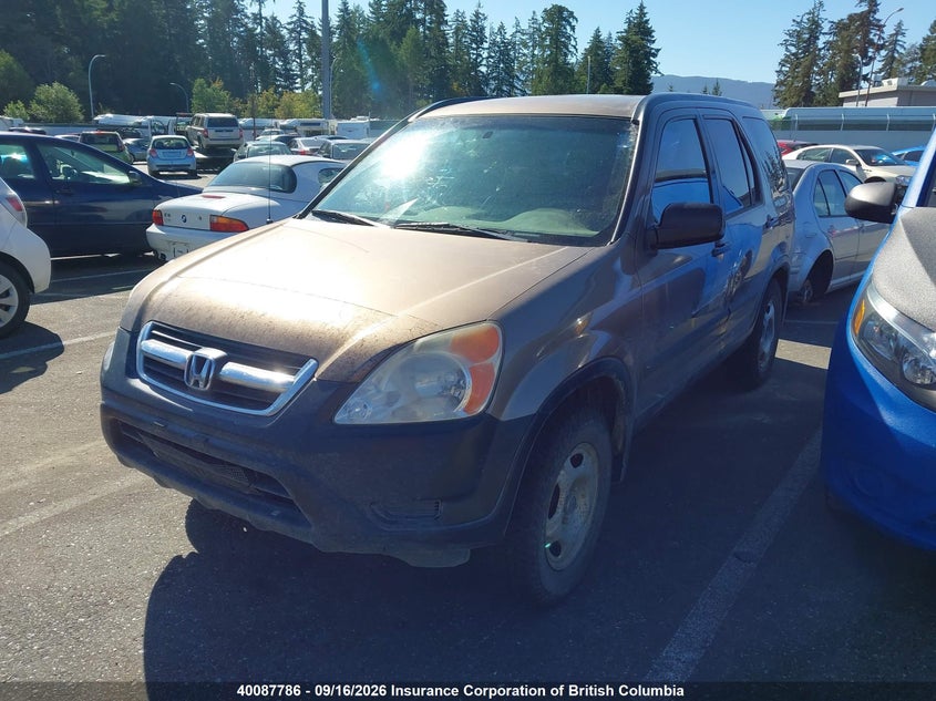 2006 Honda CR-V, Крыша, IAAI, VIN JHLRD688X6C014653 — фото 2