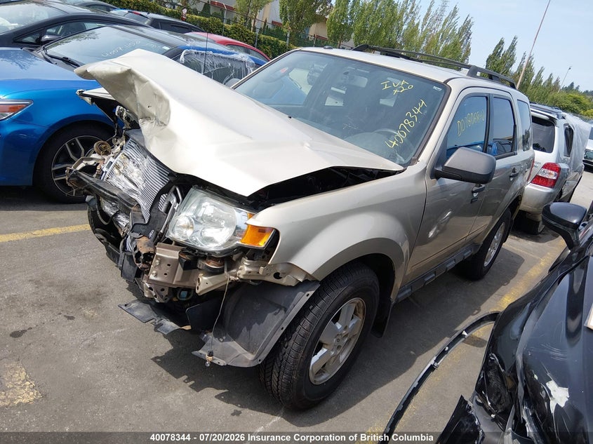 Vin: 1fmcu9dg4akb26716, lot: 30106947, ford escape xlt 20102