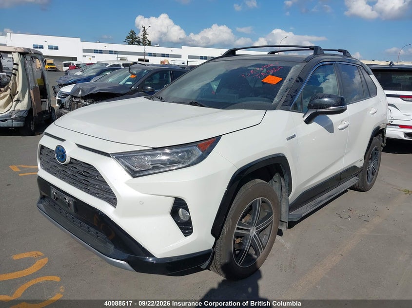 2019 Toyota Rav4, Rear, IAAI, VIN 2T3RWRFV7KW040961 — photo 2