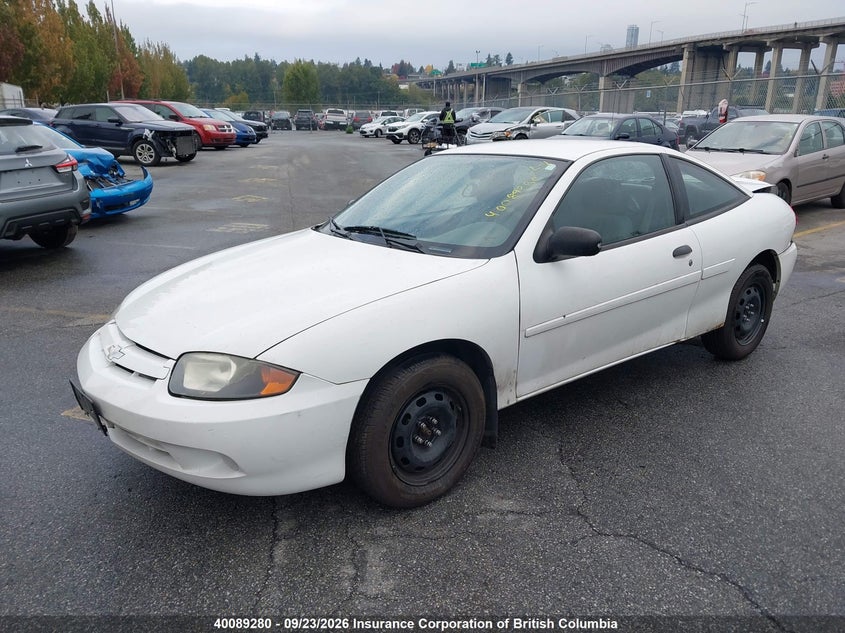 2005 Chevrolet Cavalier, Удар сзади, IAAI, VIN 1G1JC12F857144230 — фото 2