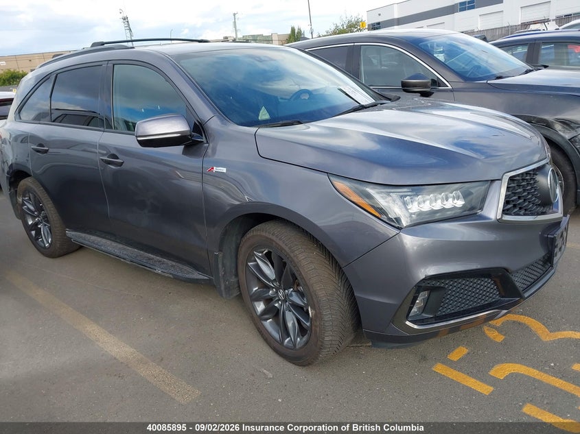 2019 Toyota RAV 4