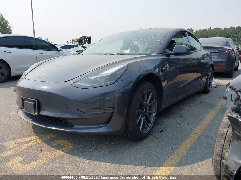 Vin: 5yj3e1ea9pf411530, lot: 30110097, tesla model 3 20232