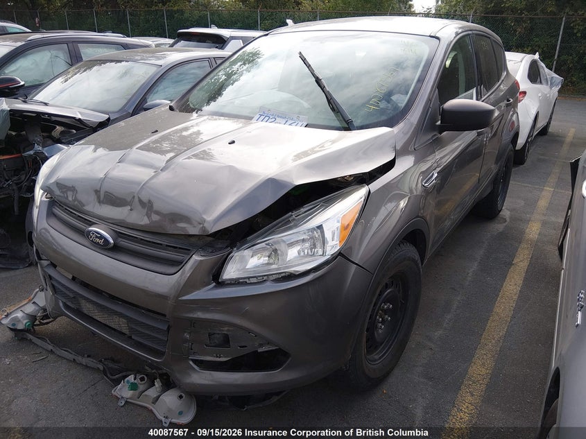 Vin: 1fmcu0f76dub87695, lot: 30113599, ford escape s 20132