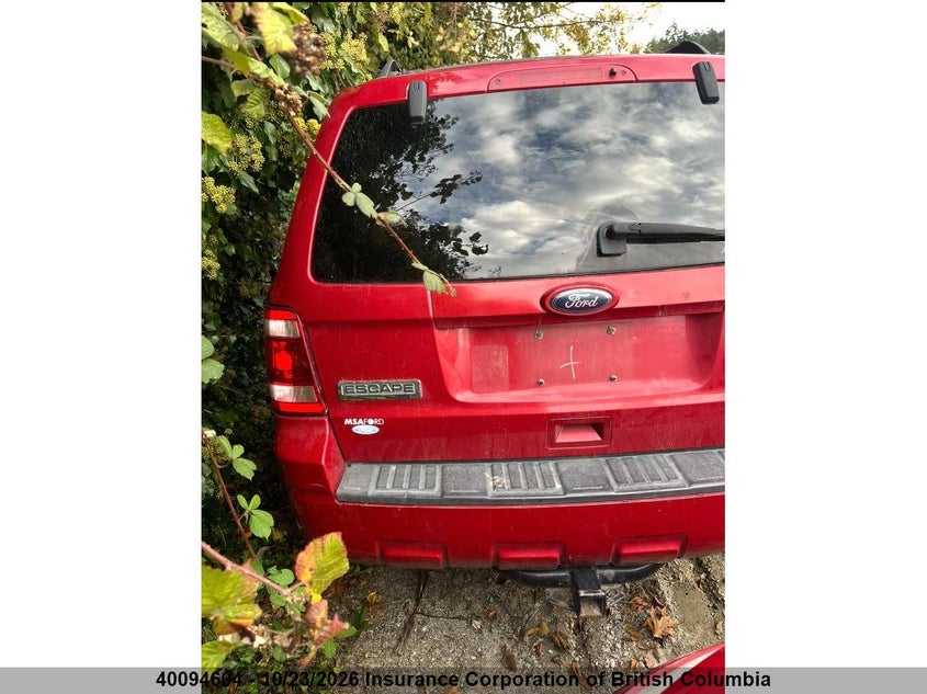 Vin: 1fmcu0d73bka15829, lot: 30115054, ford escape xlt 20113
