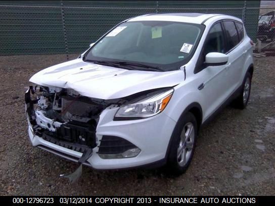 2014 Ford Escape Se VIN: 1FMCU0G96EUA06161 Lot: 12796723