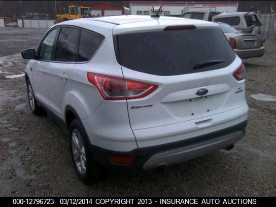 2014 Ford Escape Se VIN: 1FMCU0G96EUA06161 Lot: 12796723