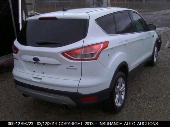 2014 Ford Escape Se VIN: 1FMCU0G96EUA06161 Lot: 12796723