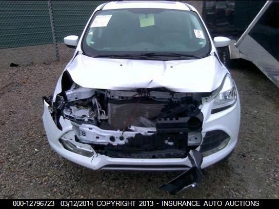 2014 Ford Escape Se VIN: 1FMCU0G96EUA06161 Lot: 12796723