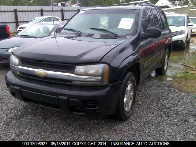 2002 Chevrolet Trailblazer VIN: 1GNDS13S122417110 Lot: 13096927