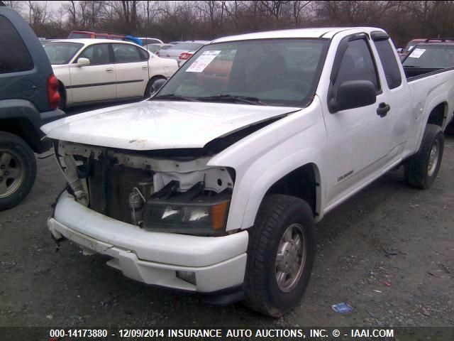 2005 Chevrolet Colorado Ls VIN: 1GCDT196158239328 Lot: 14173880