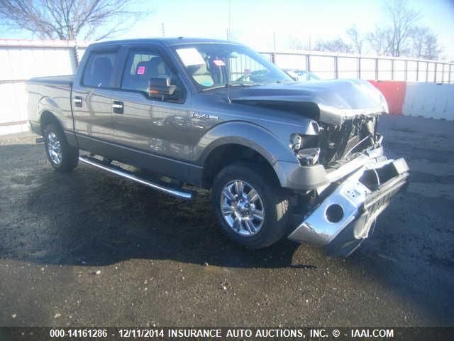 2010 Ford Lgt Convtnl 'F' F150 VIN: 1FTFW1CV1AFC34099 Lot: 14161286