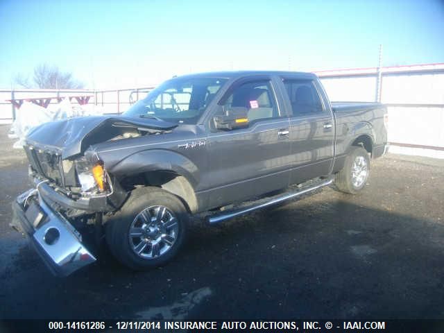 2010 Ford Lgt Convtnl 'F' F150 VIN: 1FTFW1CV1AFC34099 Lot: 14161286