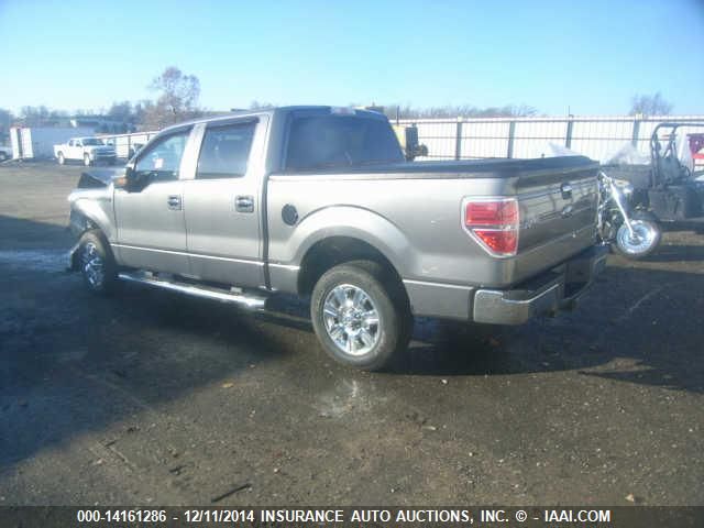 2010 Ford Lgt Convtnl 'F' F150 VIN: 1FTFW1CV1AFC34099 Lot: 14161286