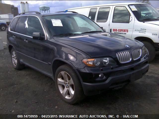 2006 BMW X5 4.4I VIN: 5UXFB53596LV22981 Lot: 14759959