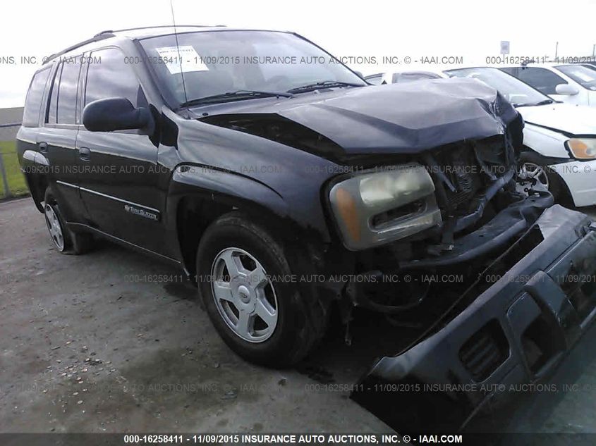 2002 Chevrolet Trailblazer Ls VIN: 1GNDS13S522400004 Lot: 16258411