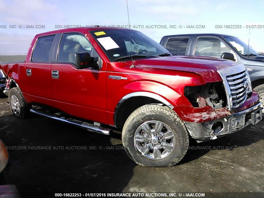 2010 Ford F-150 Xl/Xlt VIN: 1FTEW1C88AKE37181 Lot: 16622253