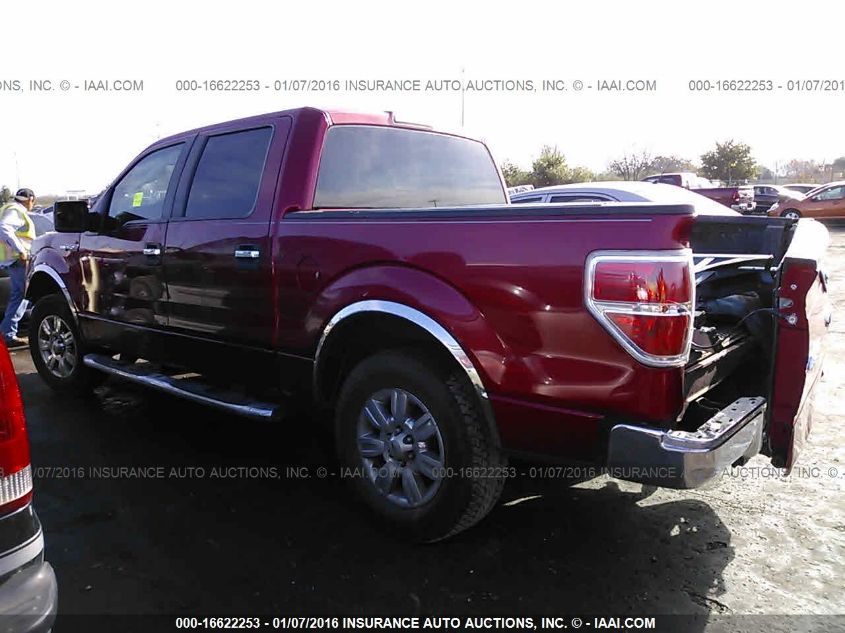 2010 Ford F-150 Xl/Xlt VIN: 1FTEW1C88AKE37181 Lot: 16622253