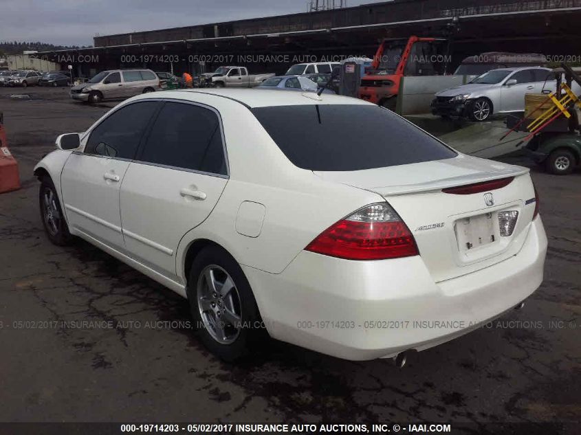 2006 Honda Accord Hybrid VIN: JHMCN36406C800331 Lot: 19714203