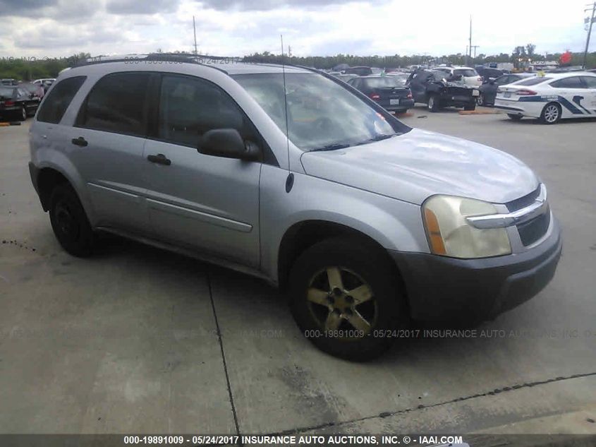 2005 Chevrolet Equinox Ls VIN: 2CNDL13F456207502 Lot: 19891009