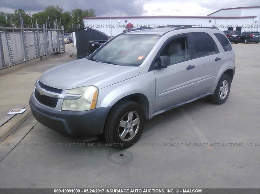 2005 Chevrolet Equinox Ls VIN: 2CNDL13F456207502 Lot: 19891009