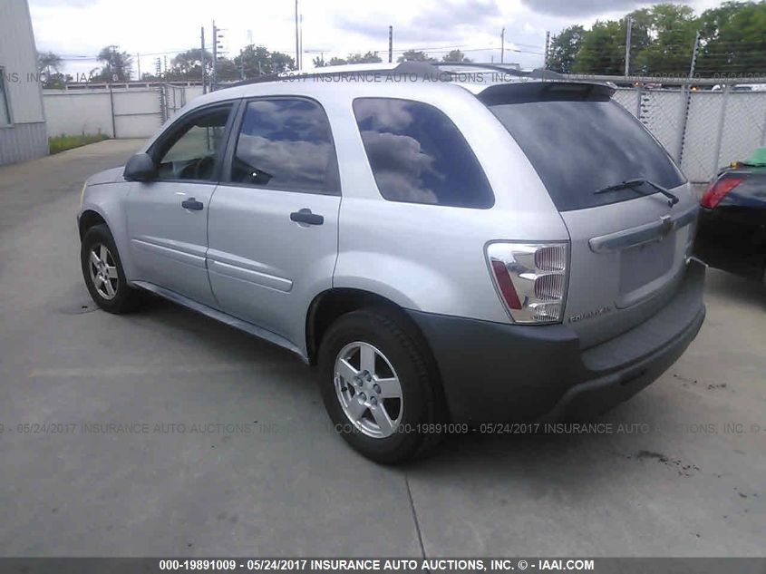 2005 Chevrolet Equinox Ls VIN: 2CNDL13F456207502 Lot: 19891009