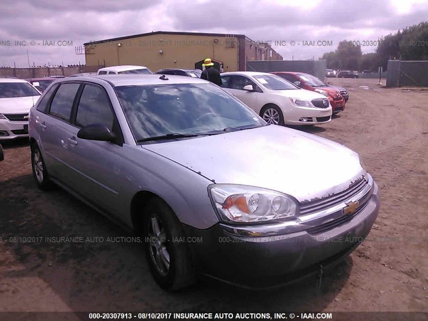 2004 Chevrolet Malibu Maxx Ls VIN: 1G1ZT64834F149905 Lot: 20307913