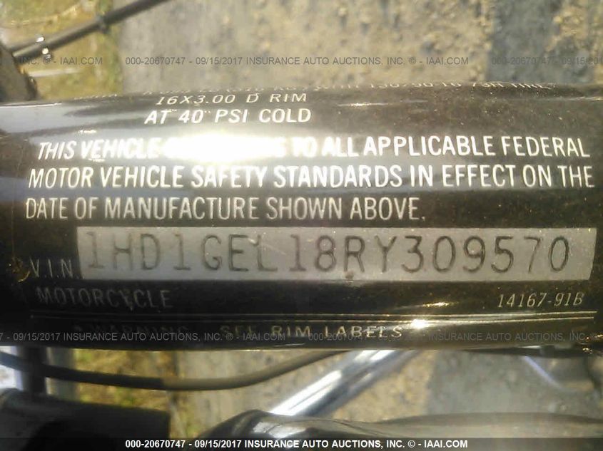 1994 Harley-Davidson Fxdwg VIN: 1HD1GEL18RY309570 Lot: 20670747