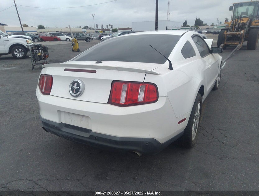 1ZVBP8AM5C5216662
