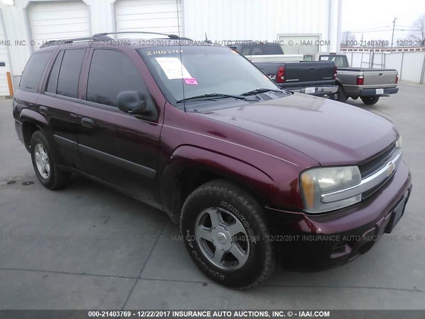 2005 Chevrolet Trailblazer Ls/Lt VIN: 1GNDT13S452110869 Lot: 21403769