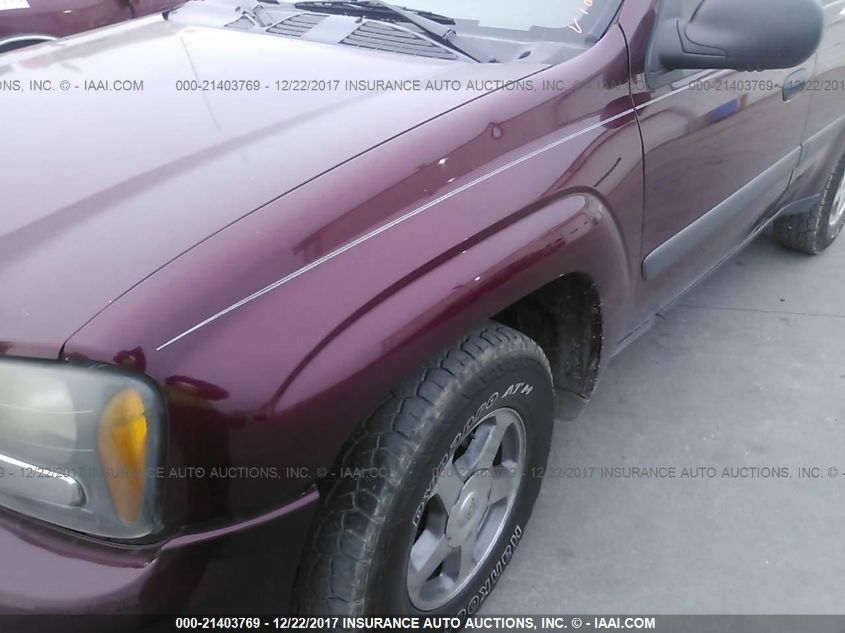 2005 Chevrolet Trailblazer Ls/Lt VIN: 1GNDT13S452110869 Lot: 21403769