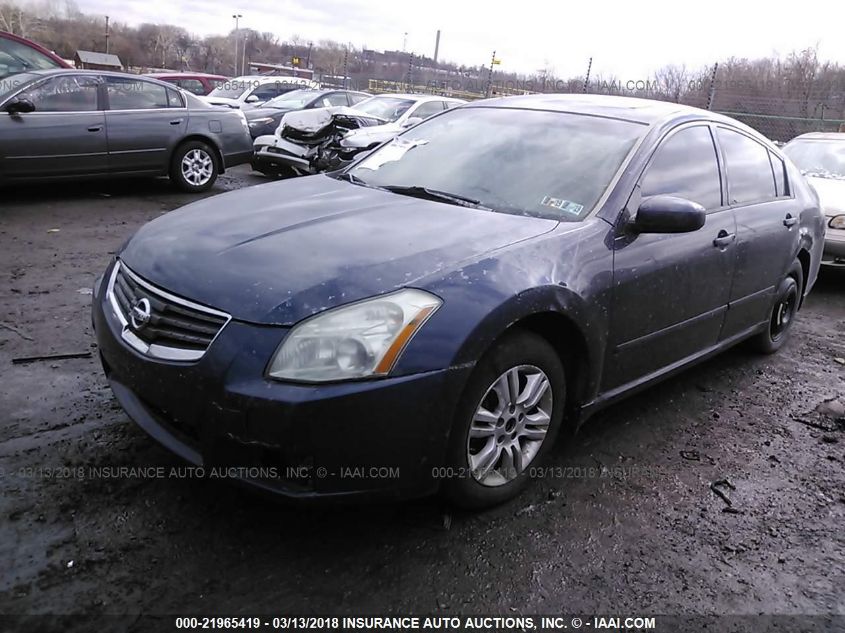 2007 Nissan Maxima 3.5 Se VIN: 1N4BA41E67C862855 Lot: 21965419