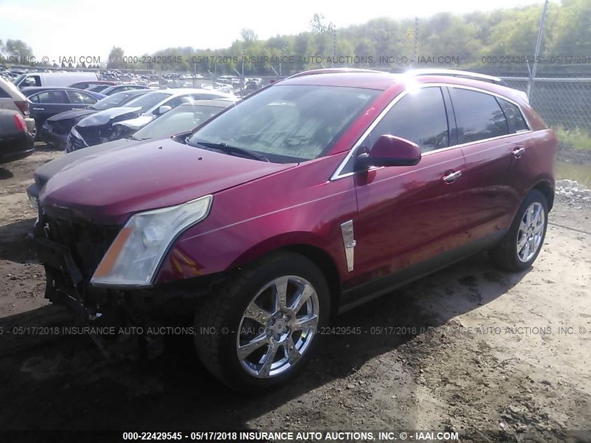 2010 Cadillac Srx Premium Collection VIN: 3GYFNCEY6AS518839 Lot: 22429545