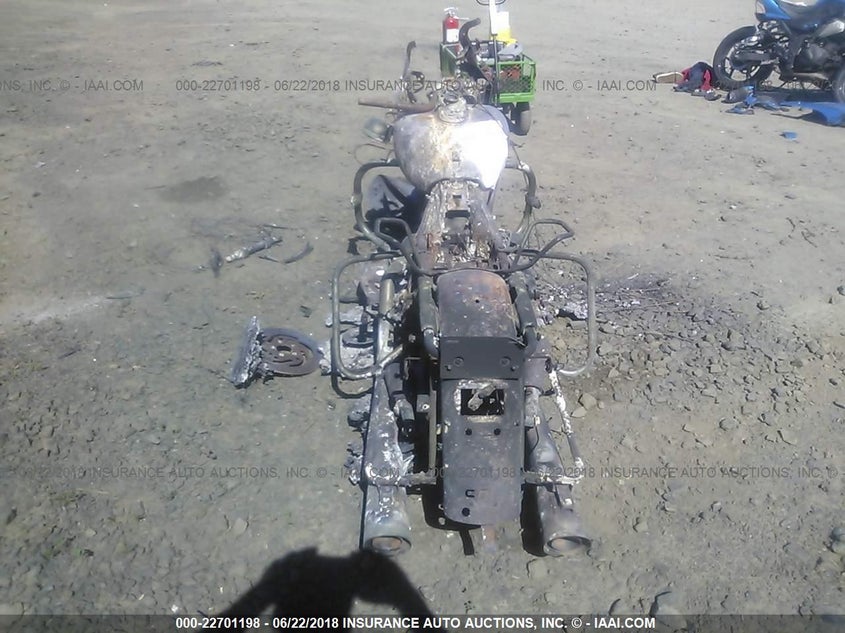 2007 Harley-Davidson Flht VIN: 1HD1FV4197Y675973 Lot: 22701198